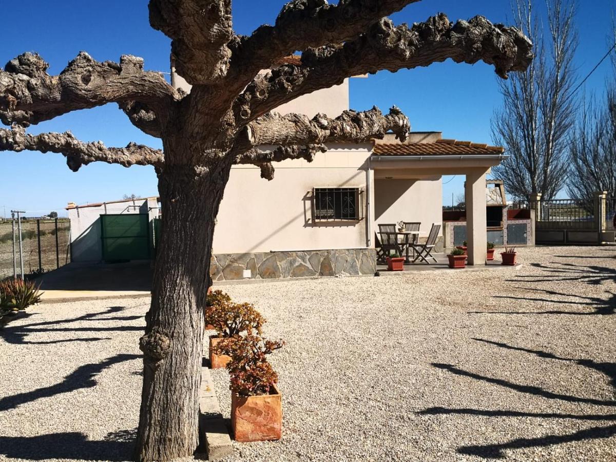 Casa Laura Guest House Deltebre Exterior photo